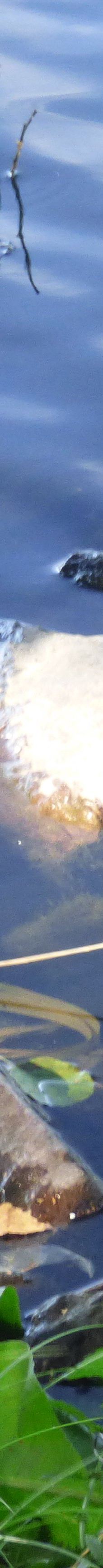 Lac de Creutzwald-柯哲斯瓦尔德拉克鲁瓦