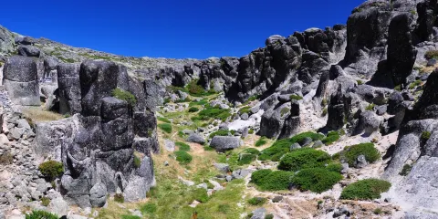 Senhora da Boa Estrela
