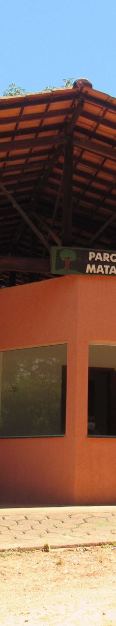 Parque Estadual Mata do Limoeiro-伊塔比拉