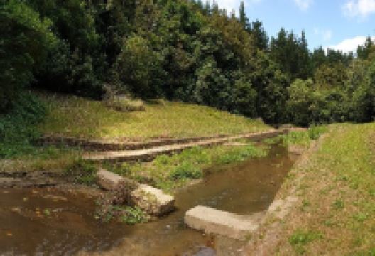 William Birch Pools景点图片