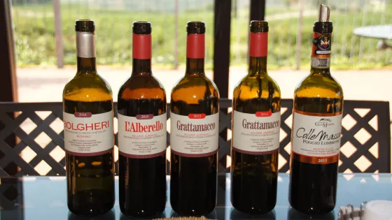 Tenuta Podere Grattamacco
