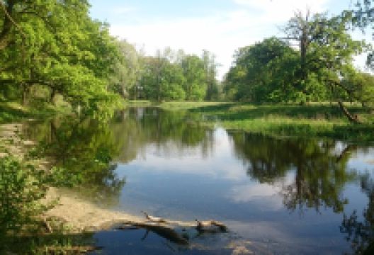 Rogalin Landscape Park景点图片