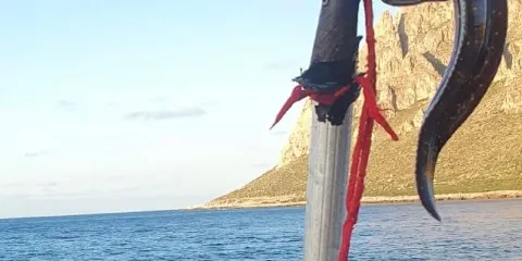 Cala Bukutu di Custonaci