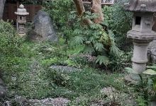 长屋门 能面美术馆景点图片