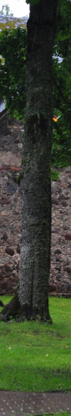 Andrejs Pumpurs Lielvardes muzejs-Lielvardes pilseta