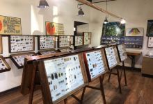 Museo Entomologico de Vicuna景点图片