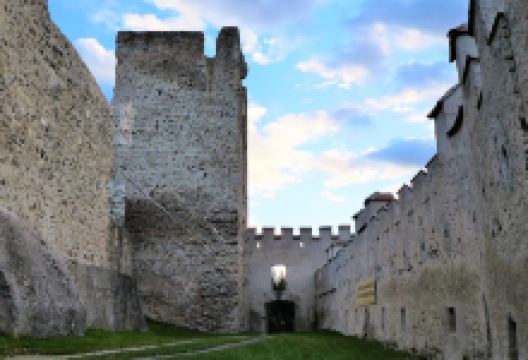 Burgruine Kirchschlag景点图片