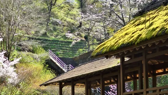 Fureai Bridge
