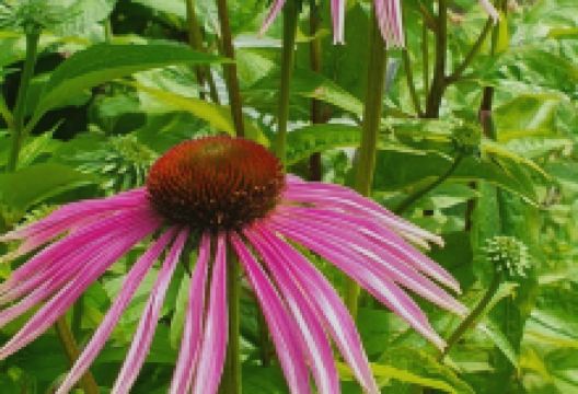 ?rtag?rden景点图片