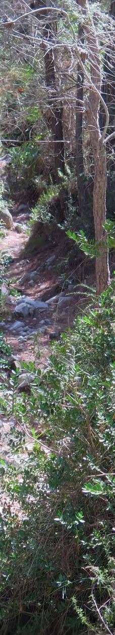 Fuente del Esparto-内尔哈