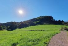 Naturlehrpfad Litschental景点图片