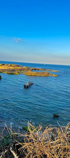 El Hamra-马赫迪亚