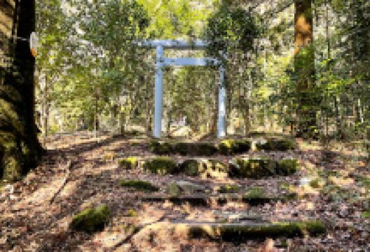 天照山神社景点图片