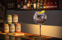 PAC Pop Art Café餐厅图片