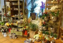 Engo Tatry s.r.o.- florist implementation of gardens购物图片