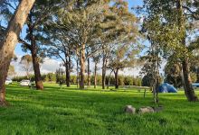 Macquarie Woods Forestry Reserve Campground景点图片