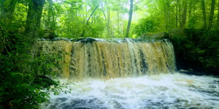 Arcadia Management Area