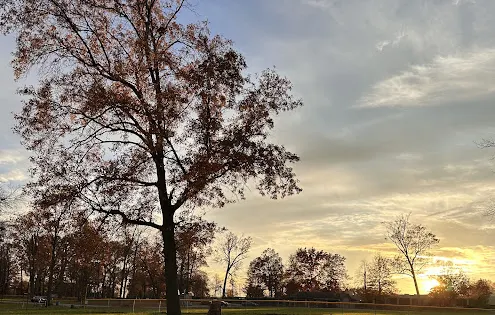 Tuscora Park