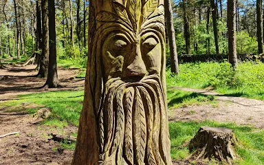 Beacon Fell Country Park