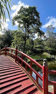 卧龙岗植物园-Keiraville