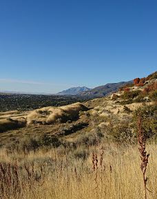 Andy Adams Park-雷顿