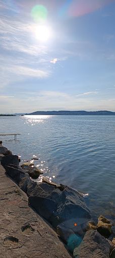 Heart of Balaton statue-佐马尔迪