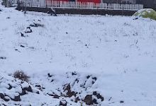 Parc de loisir familiale Blida景点图片