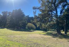 Woodend Beach Domain景点图片