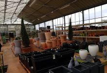 Magasin Vert des Olonnes购物图片
