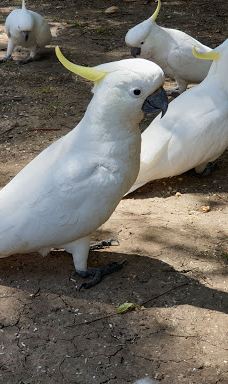 Maroondah Reservoir Park-希尔斯维尔