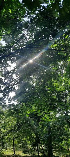 耶稣圣驴石-佐马尔迪