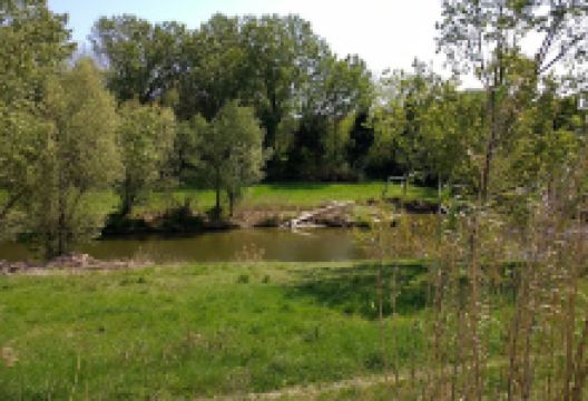 福利亚河景点图片