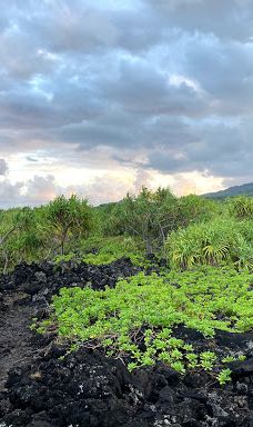 Ke Ala Loa O Maui / Piilani Trail-哈纳