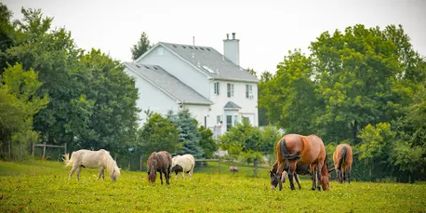 Norz Hill Farm & Market