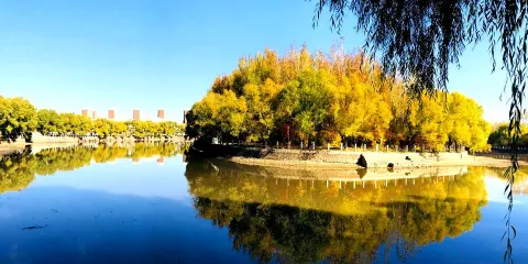 多蘭湖公園（東北門店）