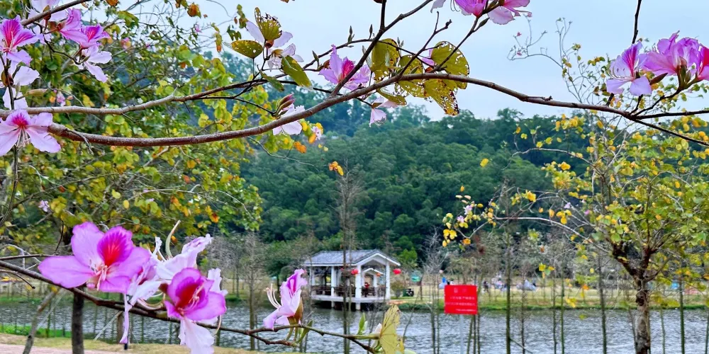 永安旅遊