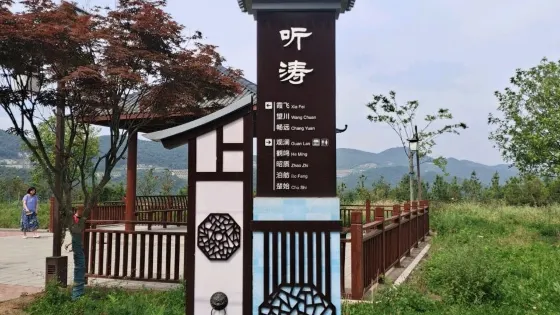 聽濤