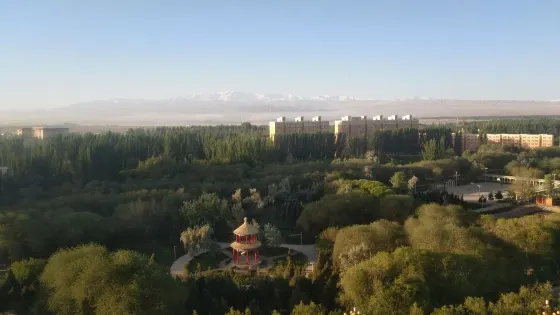 青年公園