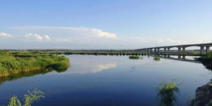 伊犁河連心島森林公園