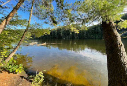 Patchen’s Point景点图片