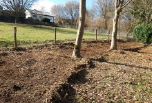 LAMBY éssouchage abattage景点图片