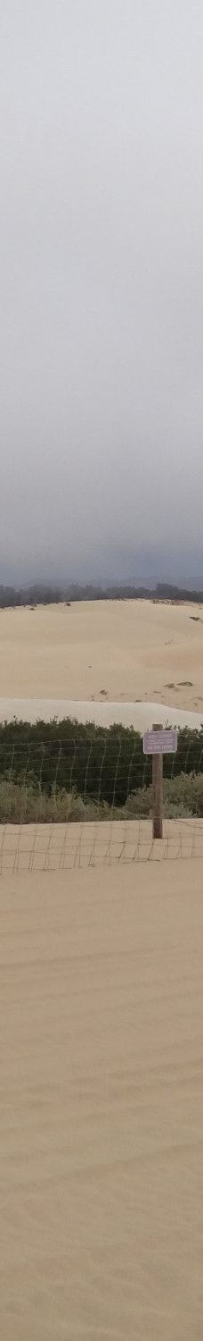 皮斯莫海滩-圣路易斯－奥比斯波县