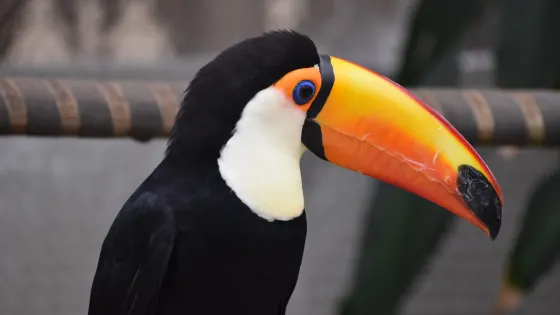 松江花鳥園