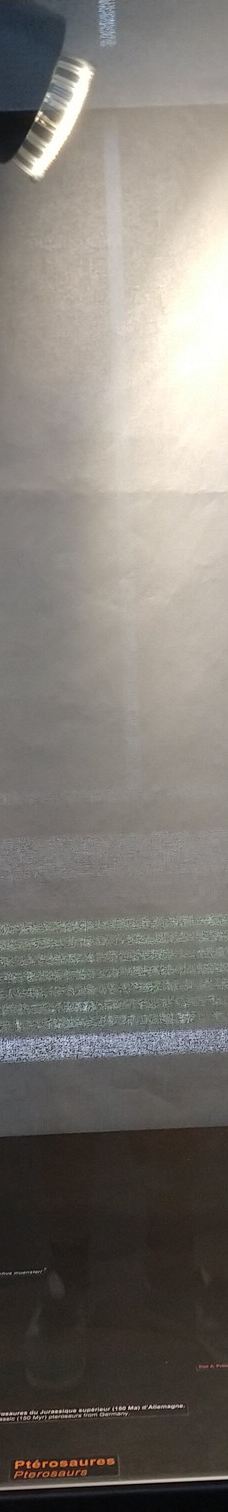 Musee des Dinosaures 'Dinosauria'-埃斯佩拉扎