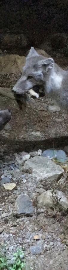 特罗姆瑟大学博物馆-特罗姆瑟