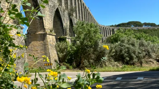 Pegoes Aqueduct