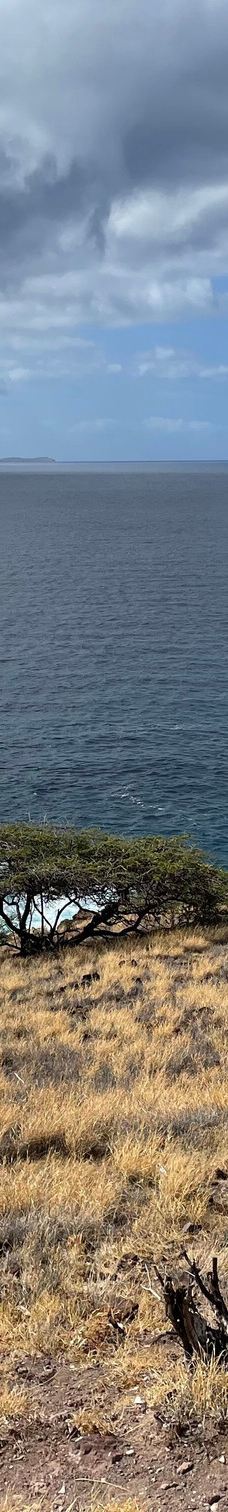 Papawai Scenic Lookout-茂宜县