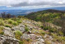Serra da Picota景点图片