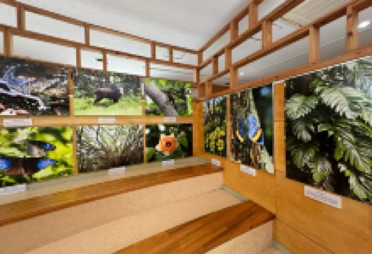 Gallirallus Okinawae Learning Center景点图片
