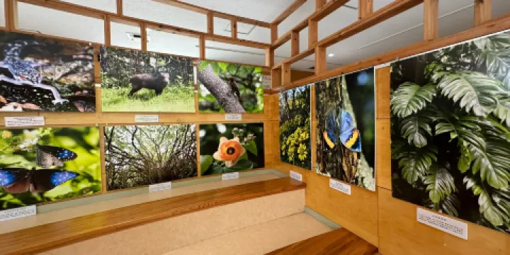 山原秧雞生態展示學習設施